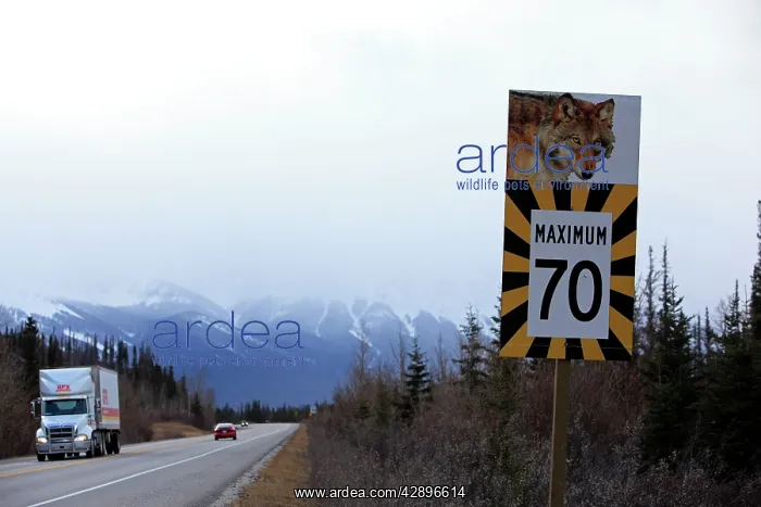 : Sign - on road warning of Wolves crossing