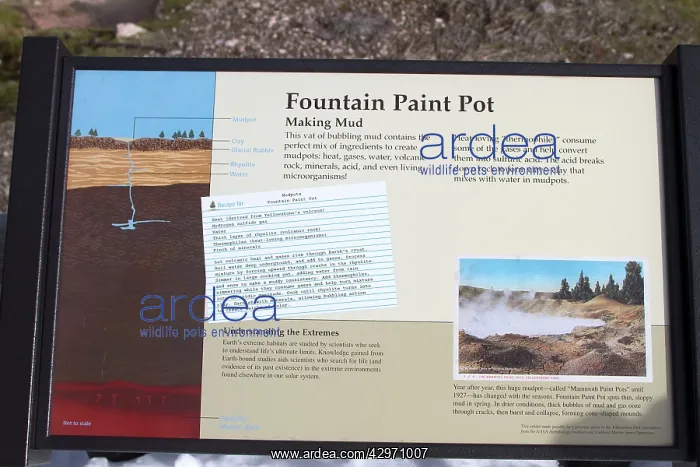 : Sign - showing bubbling mud of the Lower Geyser : Sign - showing bubbling mud of the Lower Geyser