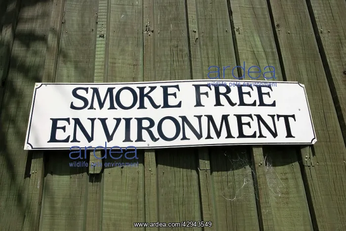 : Sign - smoke free 'no smokingI environment notice : Sign - smoke free 'no smokingI environment notice