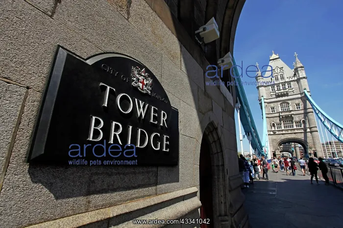  : Sign on Tower Bridge bascule bridge