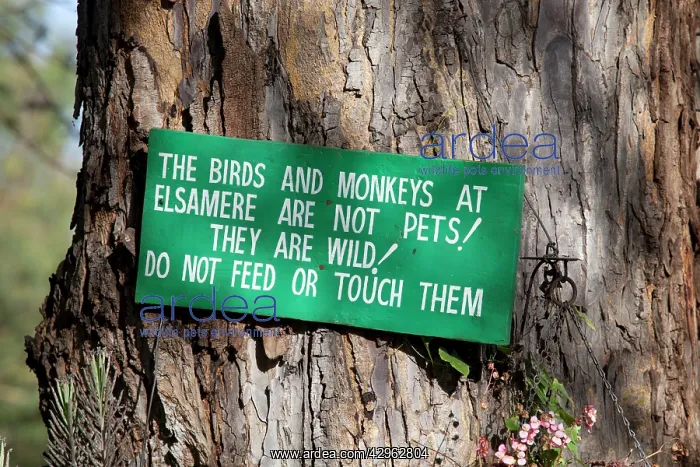: Sign on tree - Do not touch or feed birds and monkeys : Sign on tree - Do not touch or feed birds and monkeys