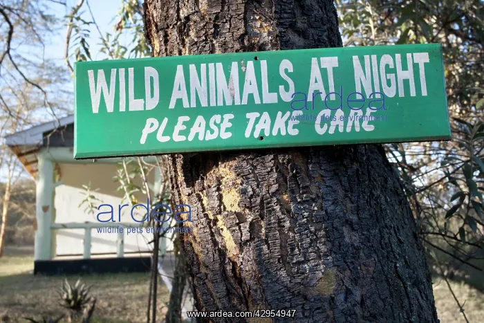 : Sign: Wild Animals at night please take care - : Sign: Wild Animals at night please take care -