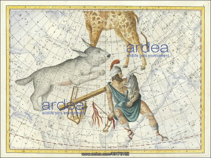 : Sign of the zodiac, lynx, telescope : Sign of the zodiac, lynx, telescope