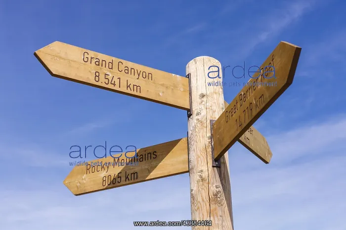 : Signpost : Signpost