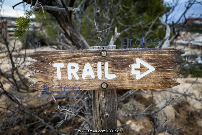 : Signpost, Direction sign, Hiking trail, Trail, Natural : Signpost, Direction sign, Hiking trail, Trail, Natural