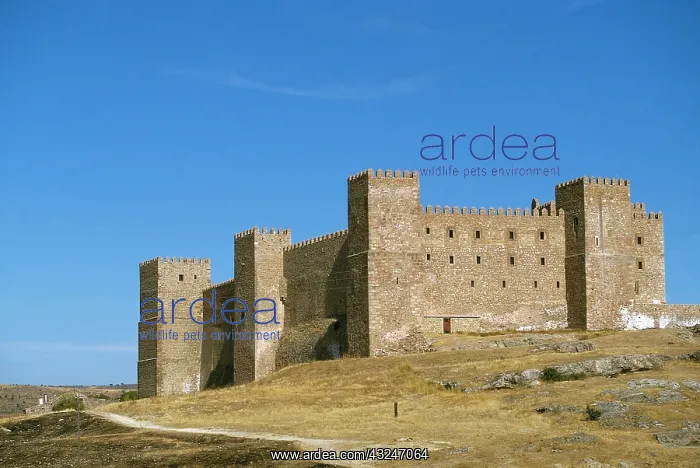 : SIGUENZA. Castle built by Arabs in the twelfth : SIGUENZA. Castle built by Arabs in the twelfth