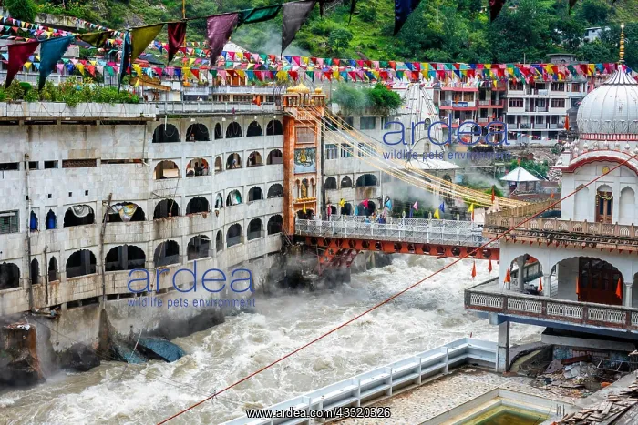 : Sikh Gurdwara, bridge over Parvati river and hot : Sikh Gurdwara, bridge over Parvati river and hot