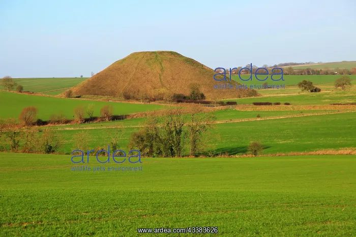 : Silbury Hill neolithic site Wiltshire, England : Silbury Hill neolithic site Wiltshire, England