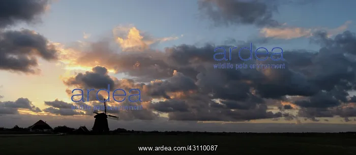 : Silhouette of a Dutch windmill against a cloudy sky : Silhouette of a Dutch windmill against a cloudy sky
