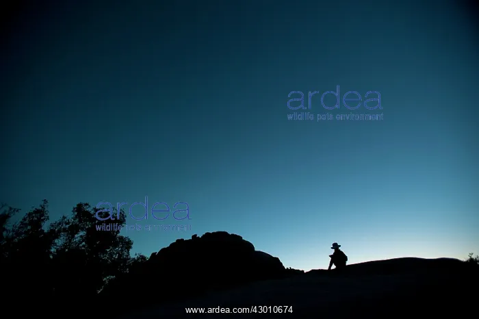 : Silhouette of Girl Joshua Tree National Park, California : Silhouette of Girl Joshua Tree National Park, California