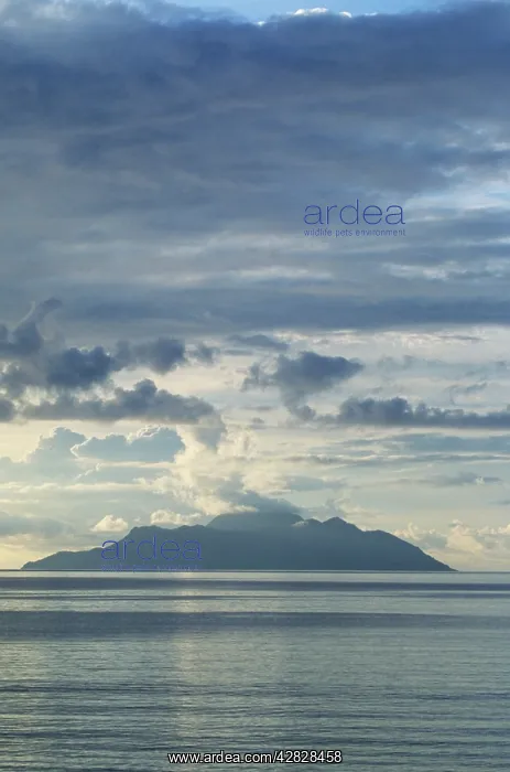  : Silhouette Island