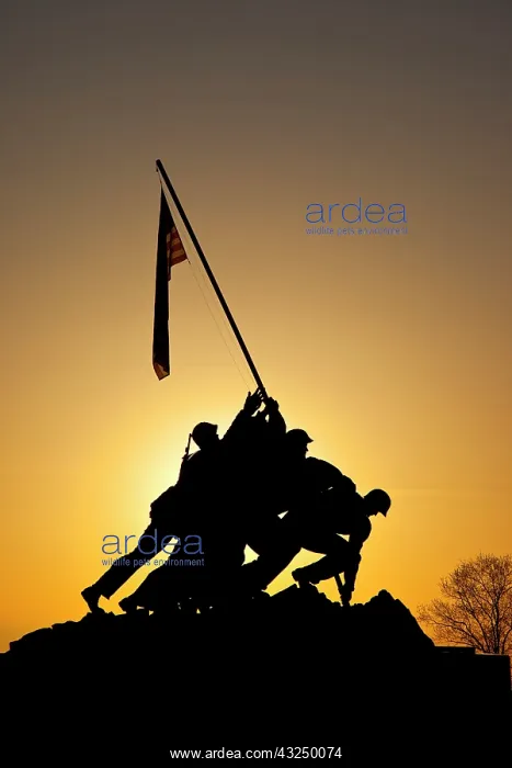 : Silhouette of Iwo Jima Memorial in Arlington : Silhouette of Iwo Jima Memorial in Arlington