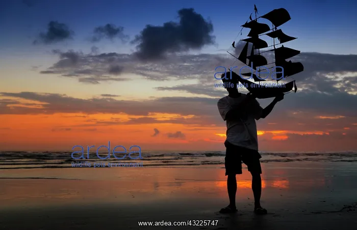 : Silhouette of a man holding a kite shaped like a : Silhouette of a man holding a kite shaped like a
