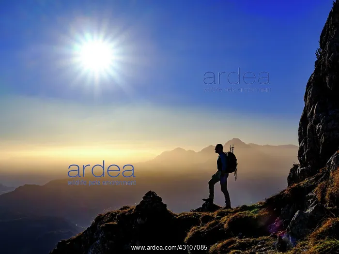 : Silhouette of a mountaineer on an exposed path in : Silhouette of a mountaineer on an exposed path in