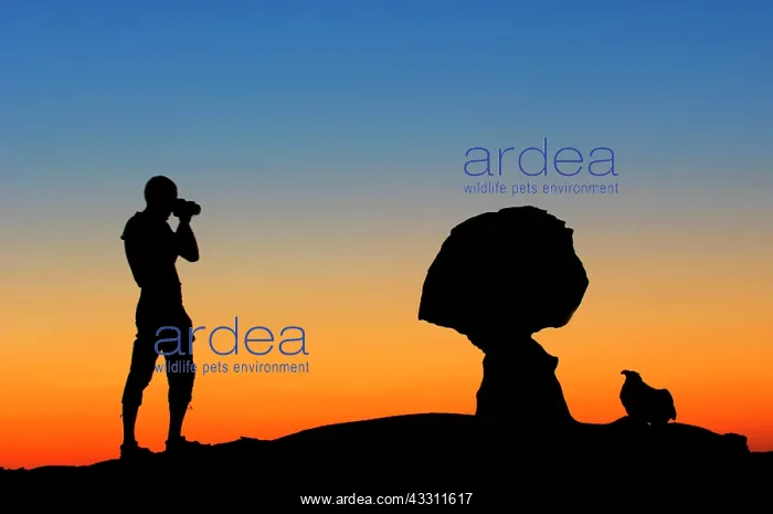 : Silhouette - photographer takes a photo of rock : Silhouette - photographer takes a photo of rock