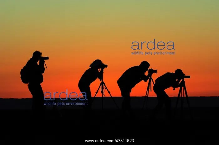  : Silhouette - photographers before sundown