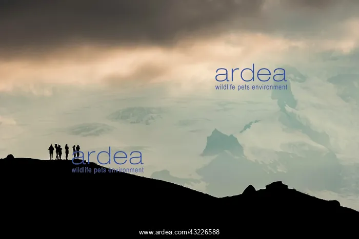 : Silhouette of tourists at the ridge with view of : Silhouette of tourists at the ridge with view of