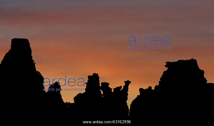 : Silhouetted Tufa Formations, Mono Lake, CA : Silhouetted Tufa Formations, Mono Lake, CA