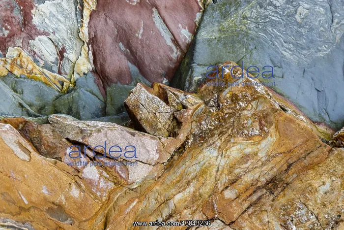 : Siliciclastic Sedimentary Rocks Formation - El Silencio : Siliciclastic Sedimentary Rocks Formation - El Silencio