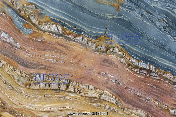 : Siliciclastic Sedimentary Rocks Formation - El Silencio : Siliciclastic Sedimentary Rocks Formation - El Silencio