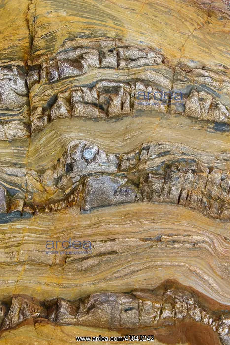 : Siliciclastic Sedimentary Rocks Formation - El Silencio : Siliciclastic Sedimentary Rocks Formation - El Silencio