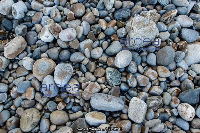 : Siliciclastic Sedimentary Rocks Formation - El Silencio : Siliciclastic Sedimentary Rocks Formation - El Silencio