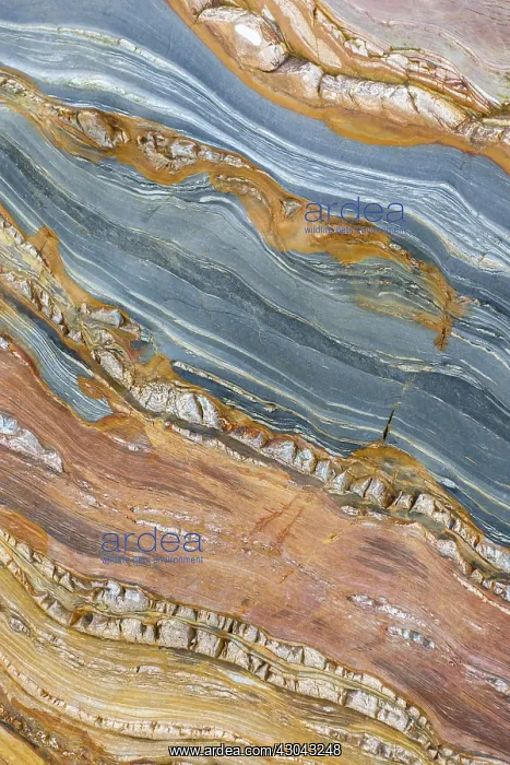: Siliciclastic Sedimentary Rocks Formation - El Silencio : Siliciclastic Sedimentary Rocks Formation - El Silencio