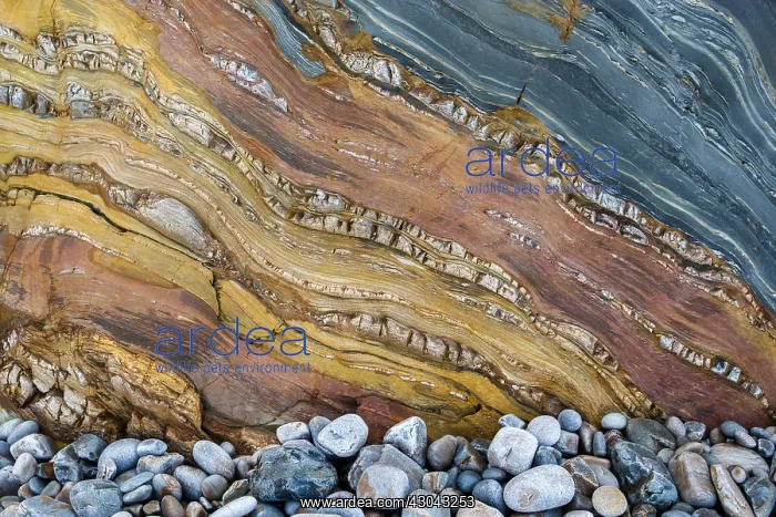 : Siliciclastic Sedimentary Rocks Formation - El Silencio : Siliciclastic Sedimentary Rocks Formation - El Silencio
