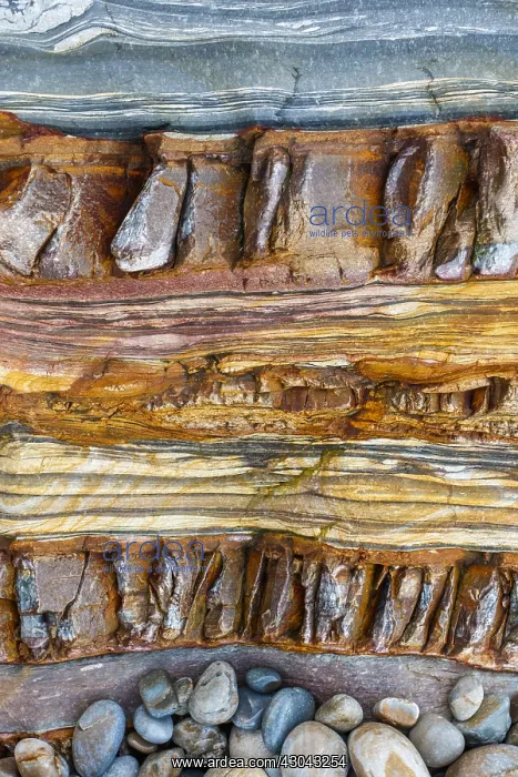 : Siliciclastic Sedimentary Rocks Formation - El Silencio : Siliciclastic Sedimentary Rocks Formation - El Silencio