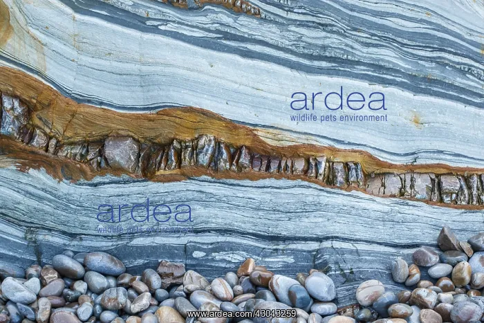 : Siliciclastic Sedimentary Rocks Formation - El Silencio : Siliciclastic Sedimentary Rocks Formation - El Silencio