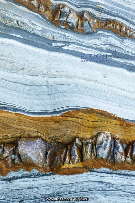 : Siliciclastic Sedimentary Rocks Formation - El Silencio : Siliciclastic Sedimentary Rocks Formation - El Silencio
