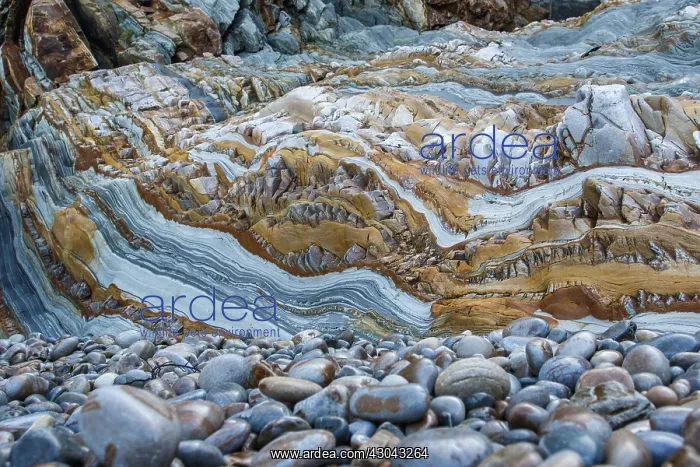 : Siliciclastic Sedimentary Rocks Formation - El Silencio : Siliciclastic Sedimentary Rocks Formation - El Silencio