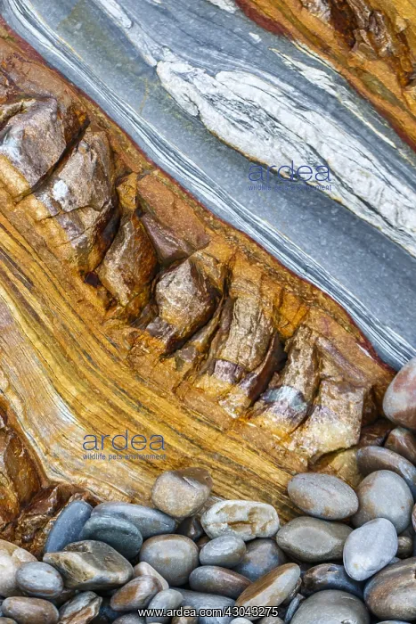 : Siliciclastic Sedimentary Rocks Formation - El Silencio : Siliciclastic Sedimentary Rocks Formation - El Silencio