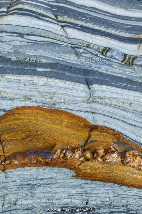 : Siliciclastic Sedimentary Rocks Formation - El Silencio : Siliciclastic Sedimentary Rocks Formation - El Silencio