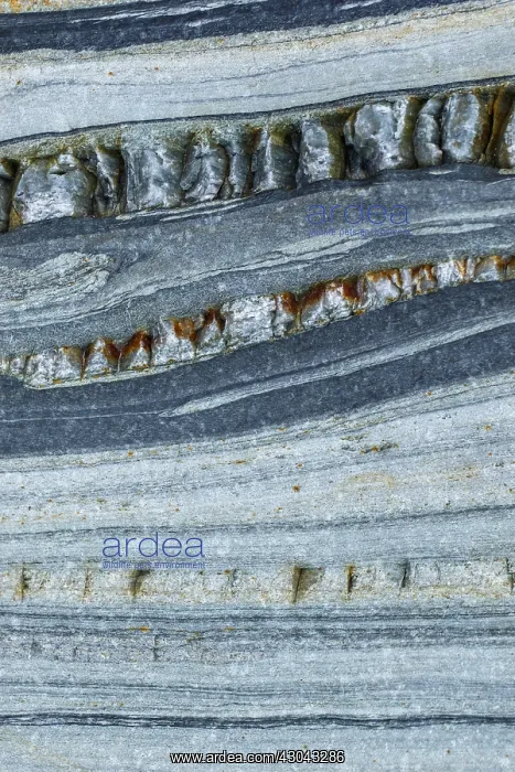 : Siliciclastic Sedimentary Rocks Formation - El Silencio : Siliciclastic Sedimentary Rocks Formation - El Silencio