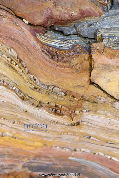 : Siliciclastic Sedimentary Rocks Formation - El Silencio : Siliciclastic Sedimentary Rocks Formation - El Silencio