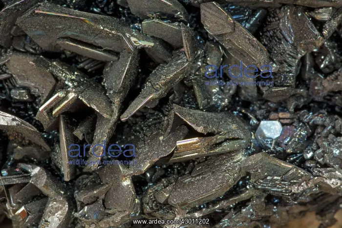  : Silicon Carbide (SiC) synthetic