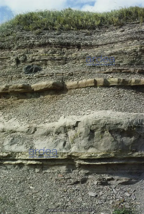: Siltstone and Sandstone : Siltstone and Sandstone