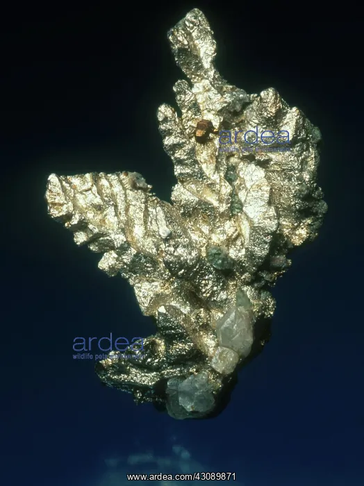 : Silver with a copper crystal, on calcite, from the Pewabic Lode in Quincy Mine : Silver with a copper crystal, on calcite, from the Pewabic Lode in Quincy Mine