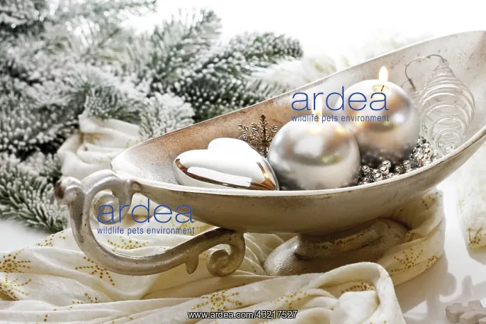 : Silver bowl with round candles and Christmas decoration : Silver bowl with round candles and Christmas decoration