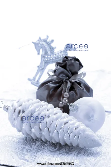 : Silver Christmas decoration, fir cone, Christmas : Silver Christmas decoration, fir cone, Christmas