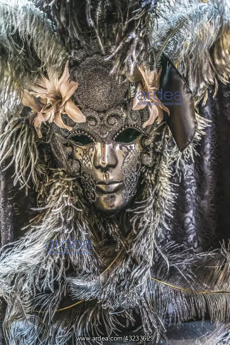 : Silver Venetian mask feathers, Venice, Italy. Used : Silver Venetian mask feathers, Venice, Italy. Used
