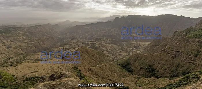  : Simien Mountains at dawn