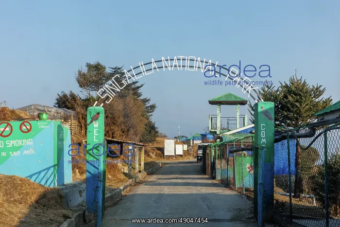 : Singalila, entrance of the park : Singalila, entrance of the park