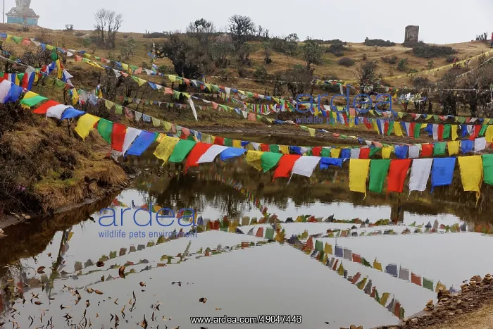 : Singalila, Kala Pokhri : Singalila, Kala Pokhri