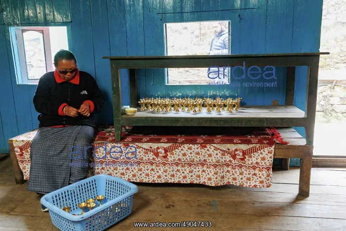 : Singalila national park, Gairibas village : Singalila national park, Gairibas village