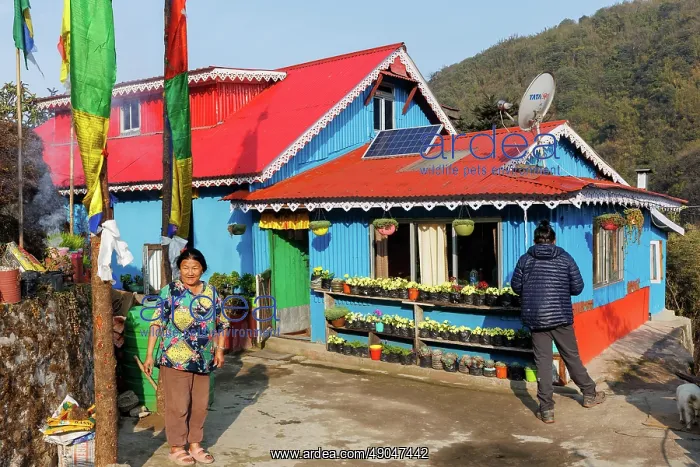 : Singalila national park, Gairibas village and surrounding area : Singalila national park, Gairibas village and surrounding area
