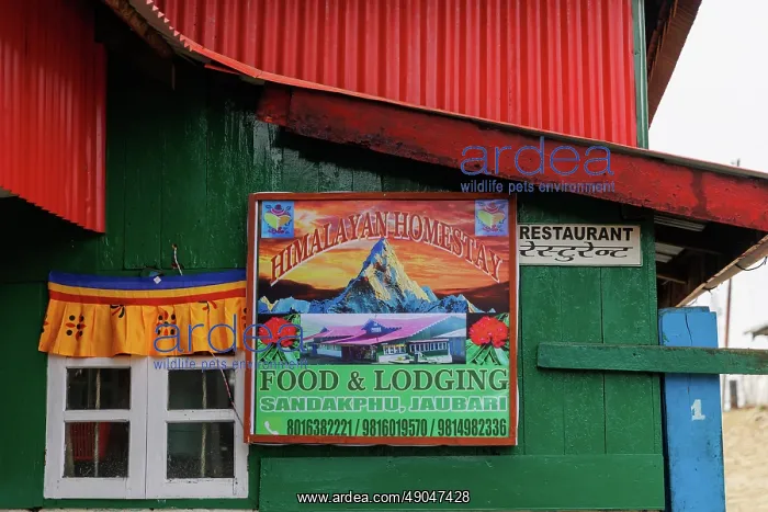 : Singalila national park, Jaubari village : Singalila national park, Jaubari village