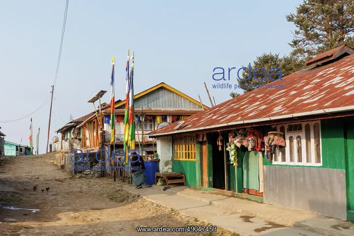: Singalila national park, Jaubari village and surrounding area : Singalila national park, Jaubari village and surrounding area