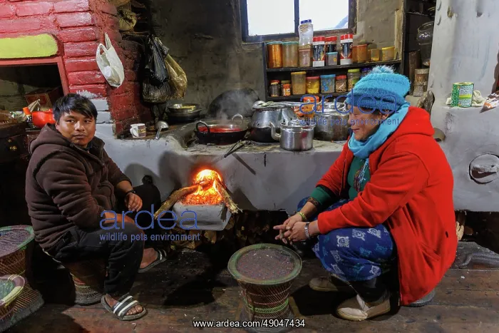 : Singalila National Park, Tumling Village, Kitchen : Singalila National Park, Tumling Village, Kitchen